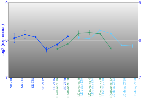 Expression graph