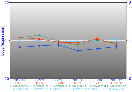 Expression graph