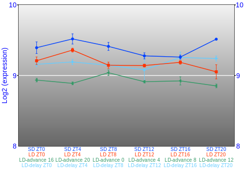 Expression graph