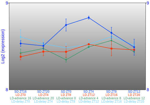 Expression graph