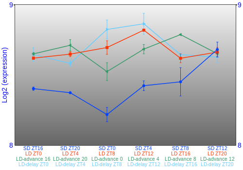 Expression graph