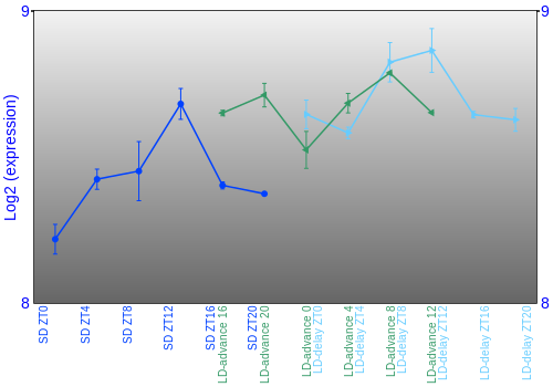 Expression graph