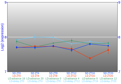 Expression graph