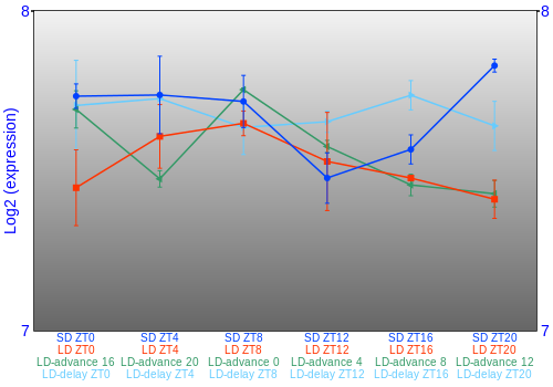 Expression graph