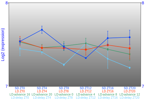 Expression graph
