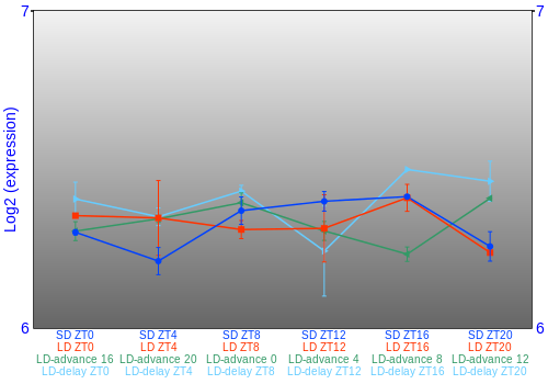Expression graph