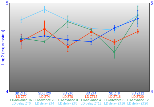 Expression graph