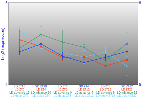 Expression graph