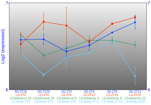 Expression graph