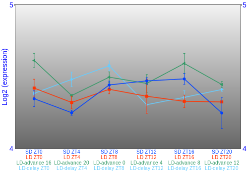Expression graph