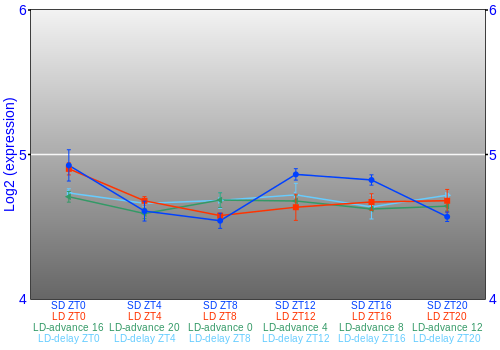 Expression graph