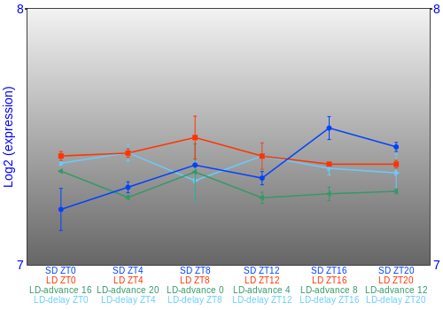 Expression graph