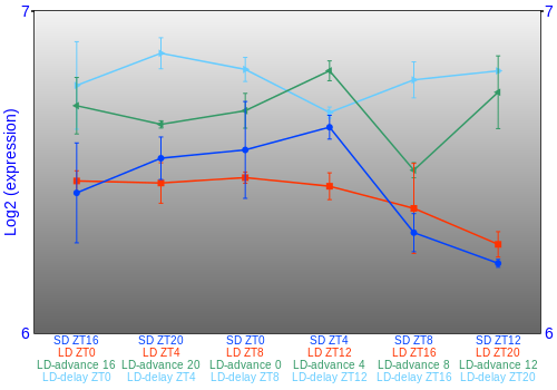 Expression graph