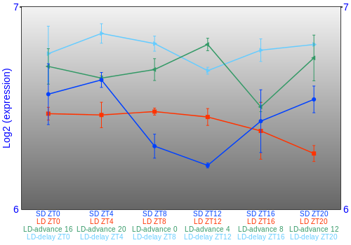 Expression graph