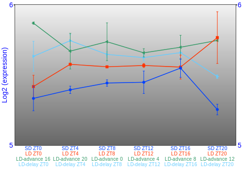 Expression graph