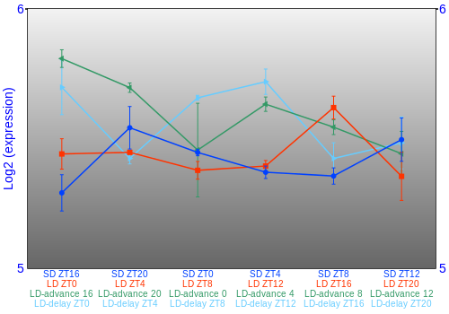 Expression graph