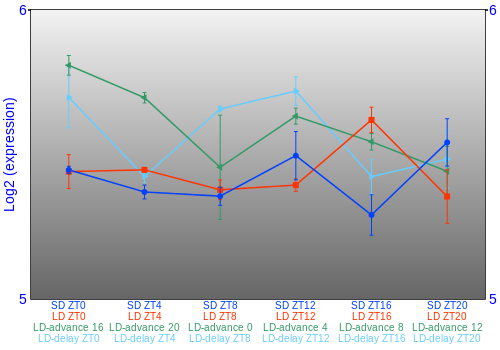 Expression graph
