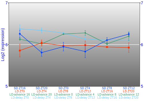 Expression graph