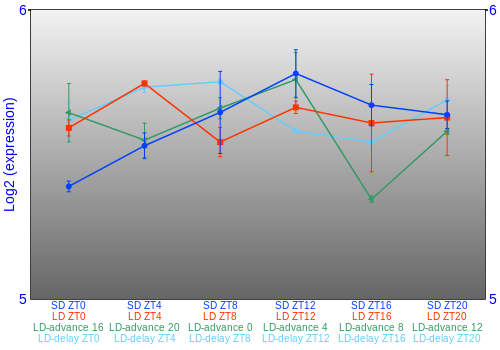 Expression graph