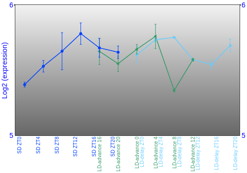 Expression graph