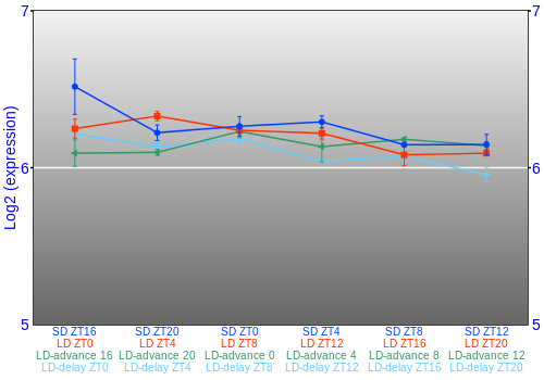 Expression graph