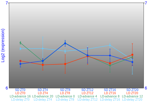 Expression graph