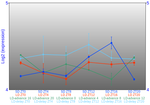 Expression graph