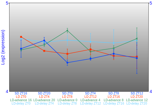 Expression graph