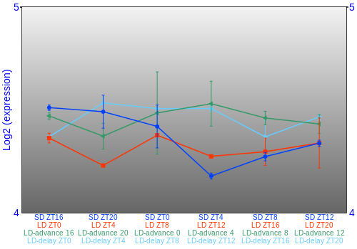 Expression graph