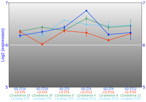 Expression graph