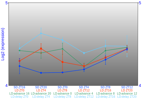 Expression graph
