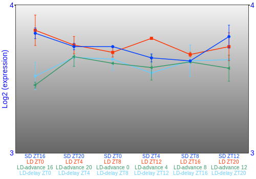 Expression graph