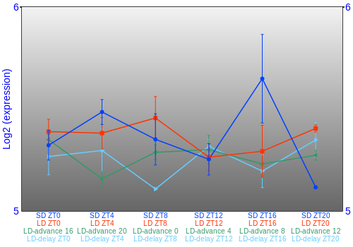 Expression graph