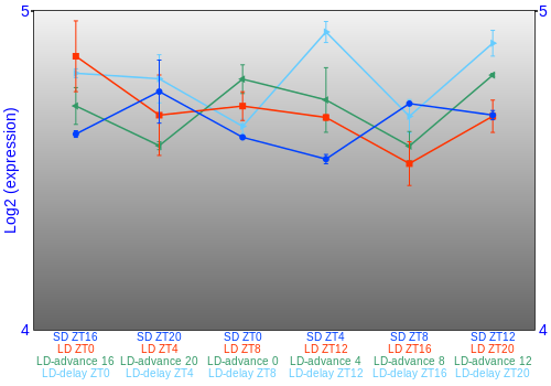 Expression graph