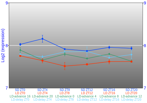 Expression graph