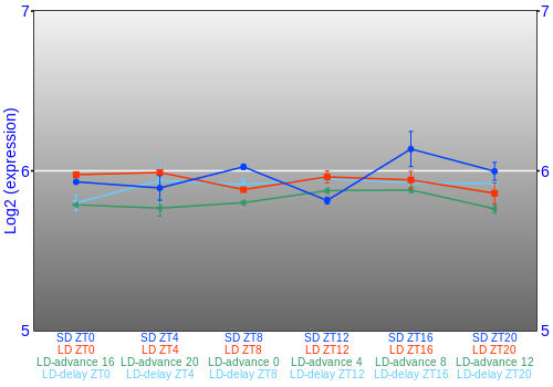 Expression graph