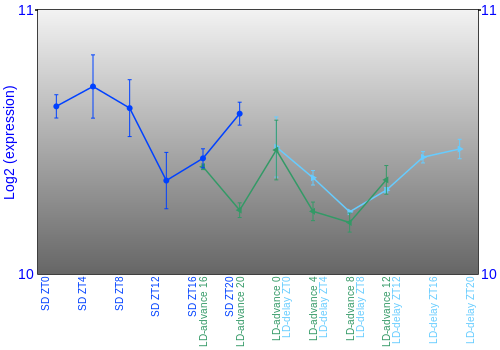 Expression graph