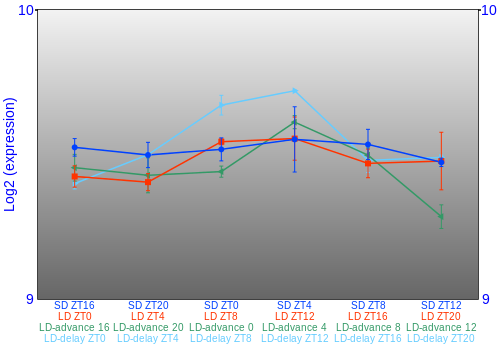 Expression graph