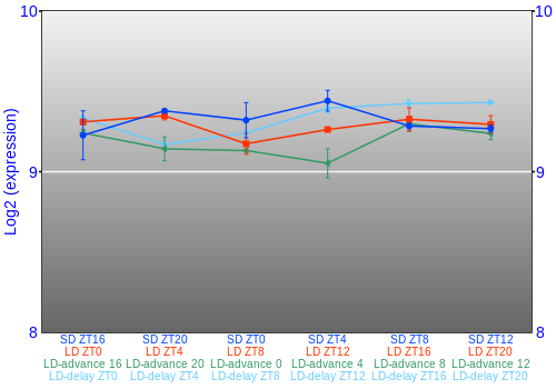 Expression graph