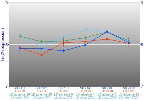 Expression graph