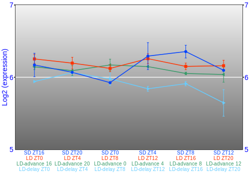Expression graph