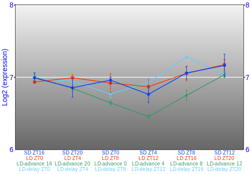 Expression graph