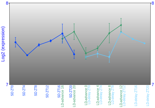 Expression graph