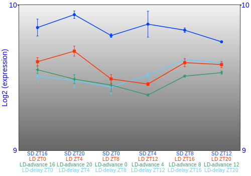 Expression graph