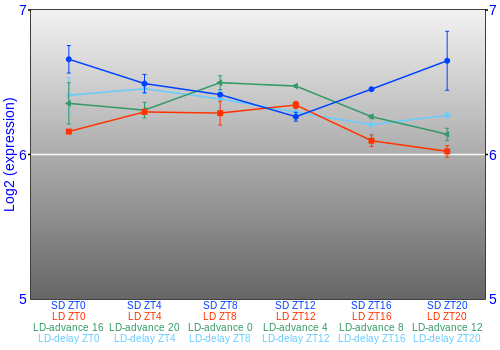 Expression graph