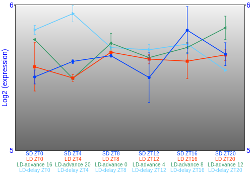 Expression graph
