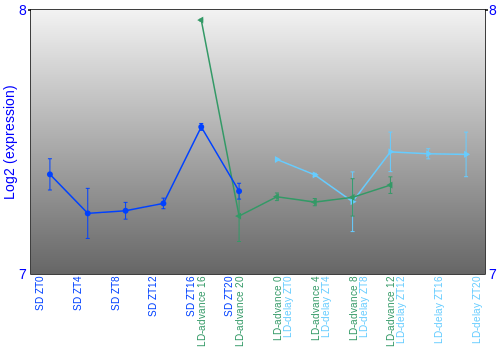 Expression graph