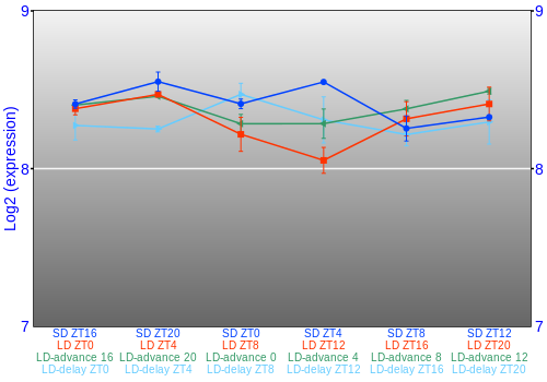 Expression graph