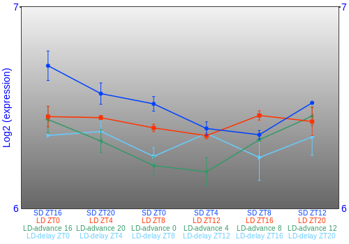 Expression graph