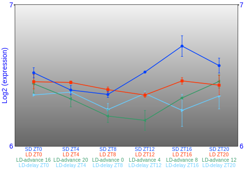 Expression graph